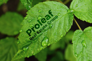 Proleaf Real Estate Group 